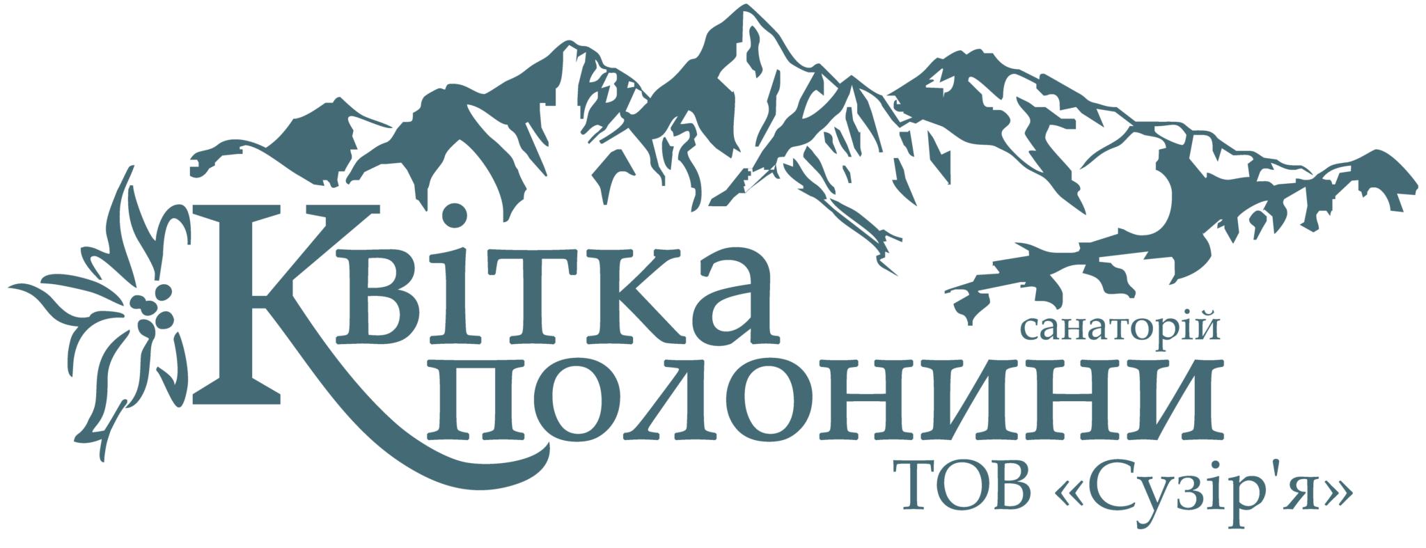Партнер 1
